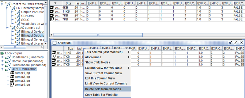 Delete field from several instances