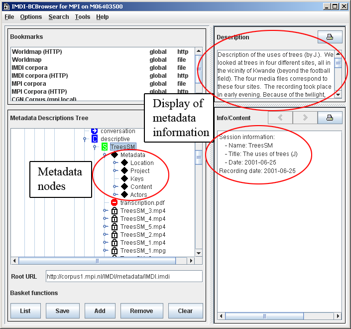 Metadata