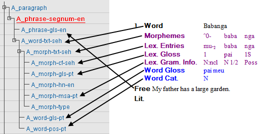 FLEx to ELAN structure