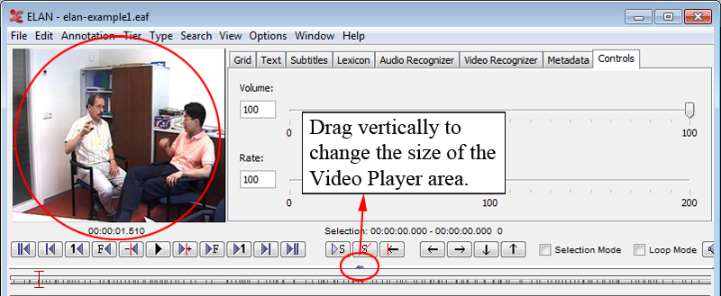 The video viewer