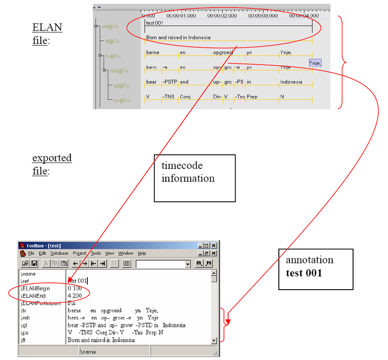 ELAN file and exported file