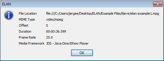Video information dialog window