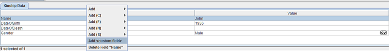 Add/delete custom fields