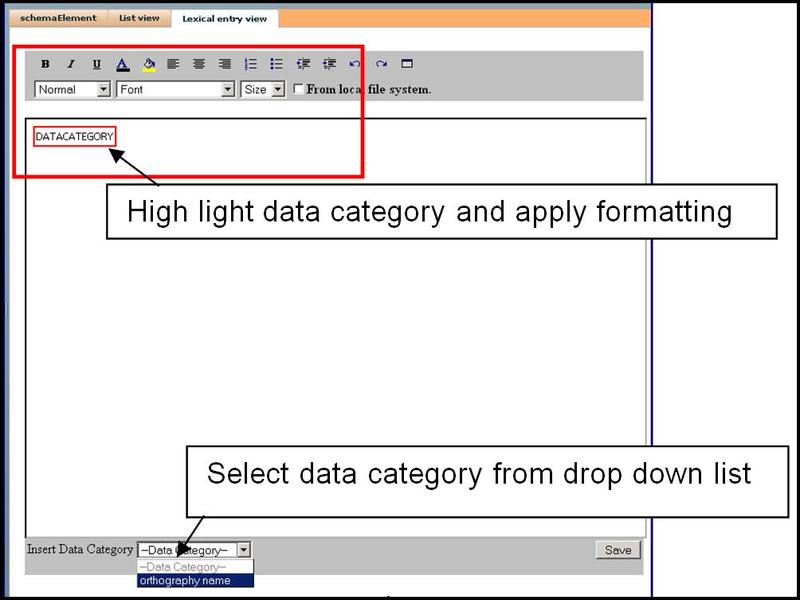 Lexical entry view editor