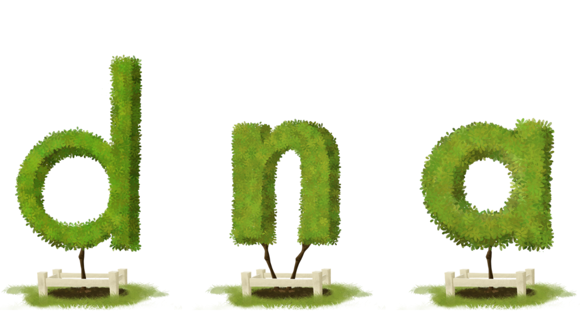 De letters D, N, A