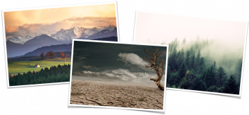 enviroment