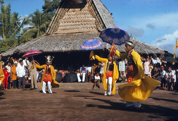 The Halmahera Collection Thumbnail