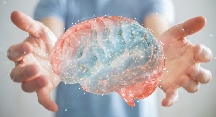 Large study compares the brains of left-handers and right-handers
