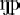 eng-p