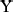 small-capital-y